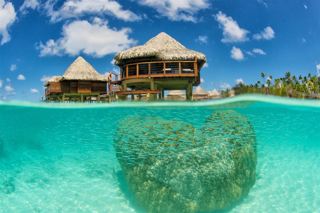 Hotel Kia Ora Resort & Spa Avatoru Wnętrze zdjęcie