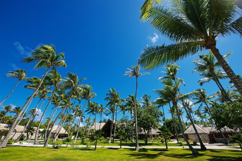 Hotel Kia Ora Resort & Spa Avatoru Wnętrze zdjęcie